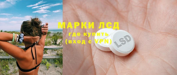 мдпв Елабуга
