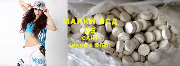 мдпв Елабуга