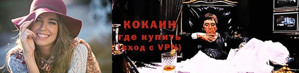 мдпв Елабуга