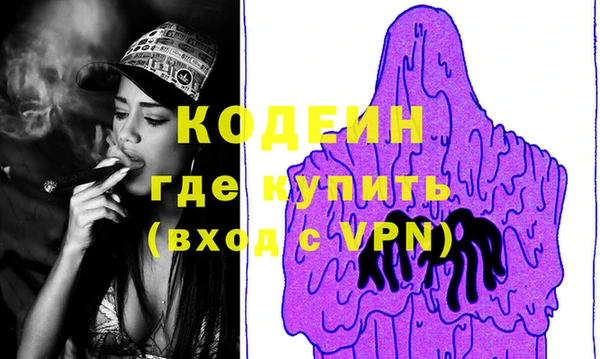 мдпв Елабуга