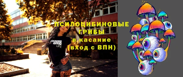 мдпв Елабуга