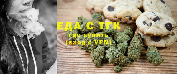 мдпв Елабуга