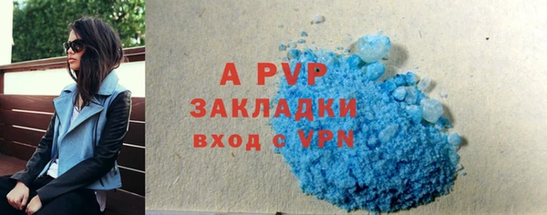 мдпв Елабуга