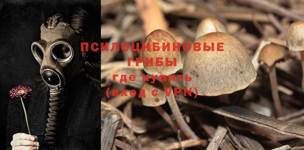 мдпв Елабуга