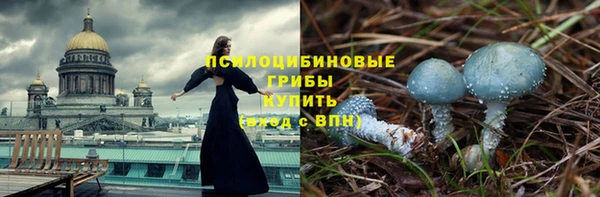 первитин Ельня