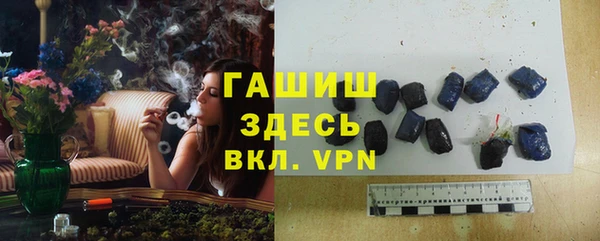 мдпв Елабуга