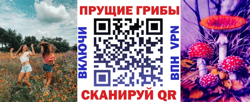 Купить где Краснослободск Псилоцибиновые грибы MAGIC MUSHROOMS