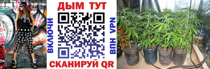Бошки Шишки Bruce Banner  Купить где  Краснослободск 